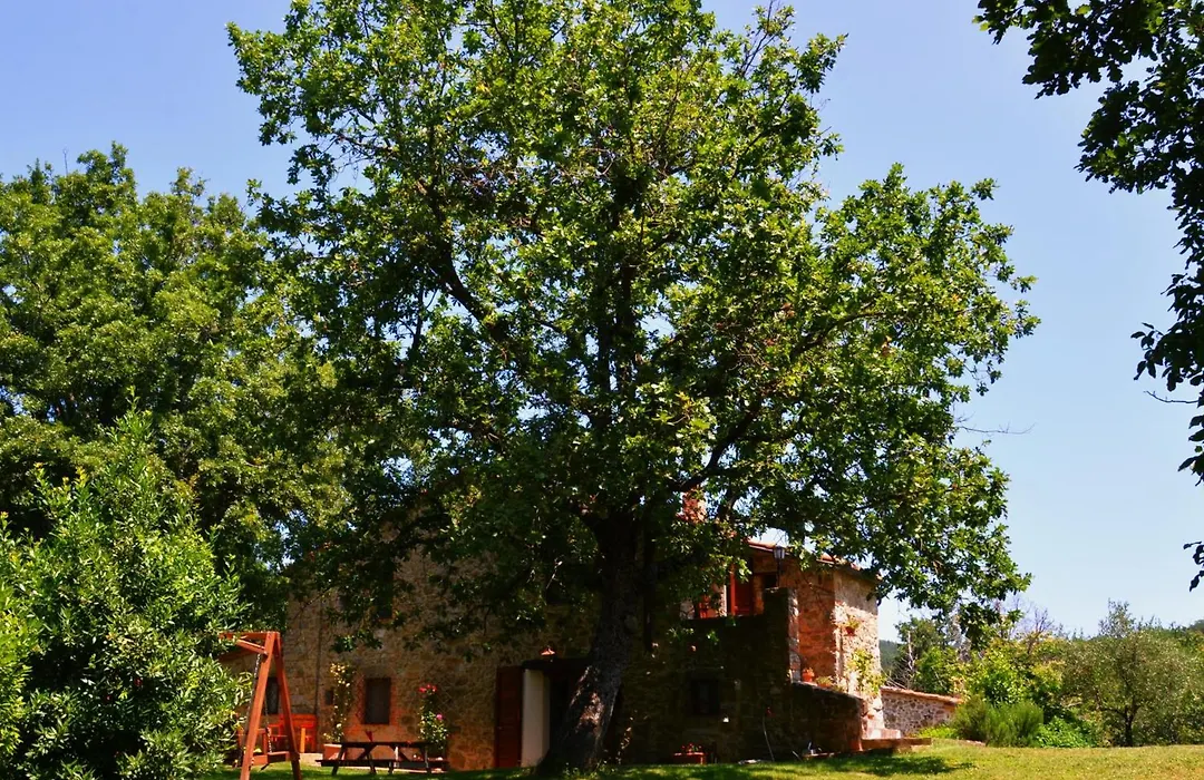 Il Venaio-1