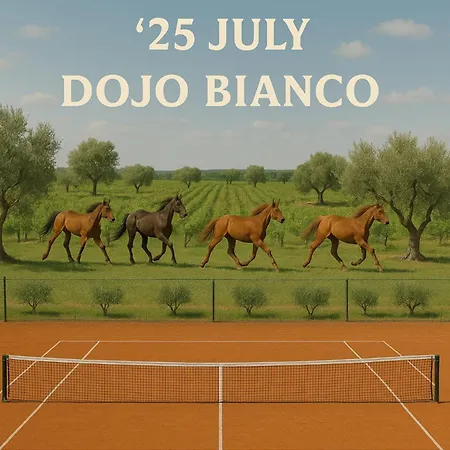 Dojo Bianco-2